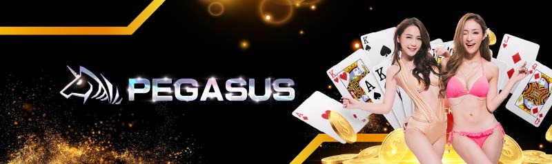 PEGASUS